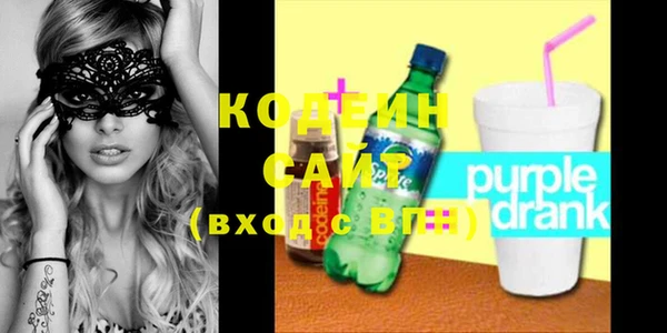 крисы Богородицк