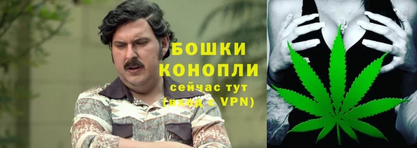 mix Богородск