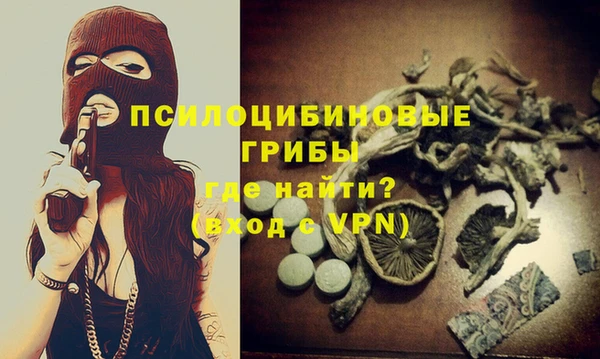 mix Богородск