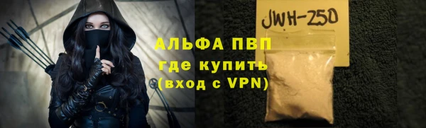 крисы Богородицк