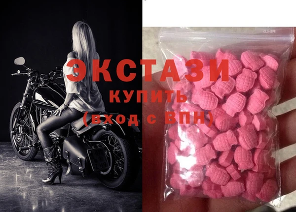 крисы Богородицк