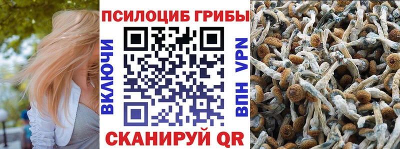 Псилоцибиновые грибы ЛСД  где продают наркотики  Иркутск 